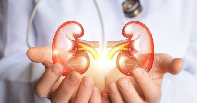 Thế nào là Thận khỏe? Cách nào bảo vệ Thận tốt nhất?